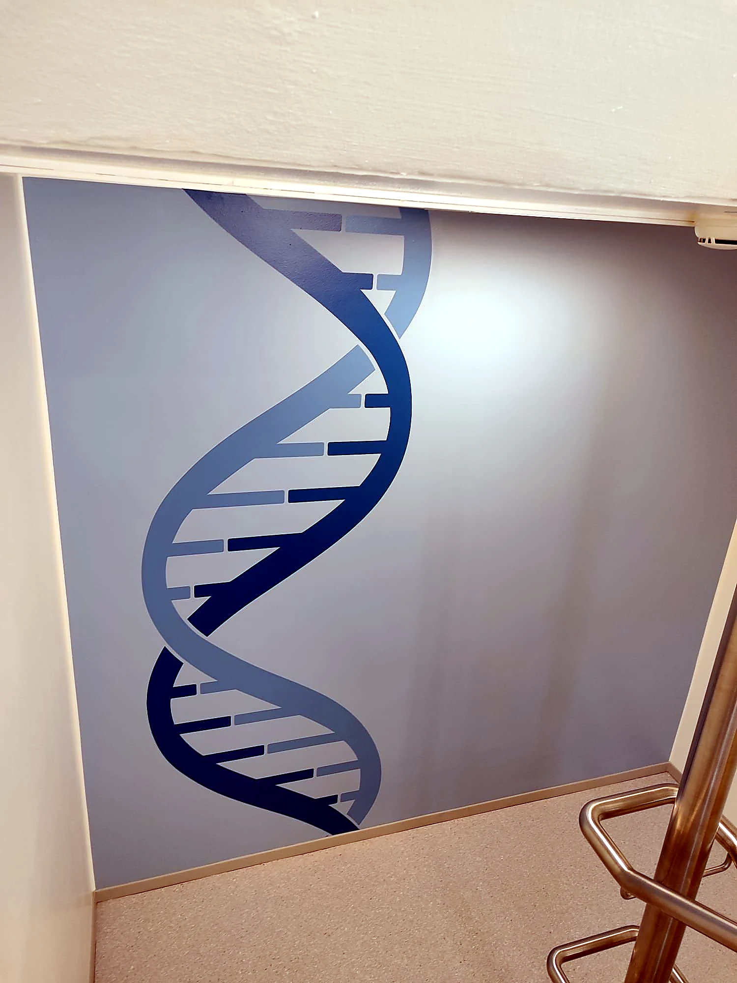 DNA Motivwand